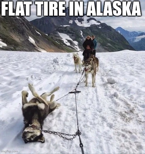 Flat Tire In Alaska | FLAT TIRE IN ALASKA | image tagged in chrisjoines1 | made w/ Imgflip meme maker
