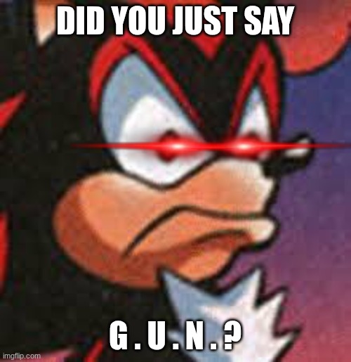 shadow offended | DID YOU JUST SAY G . U . N . ? | image tagged in shadow offended | made w/ Imgflip meme maker