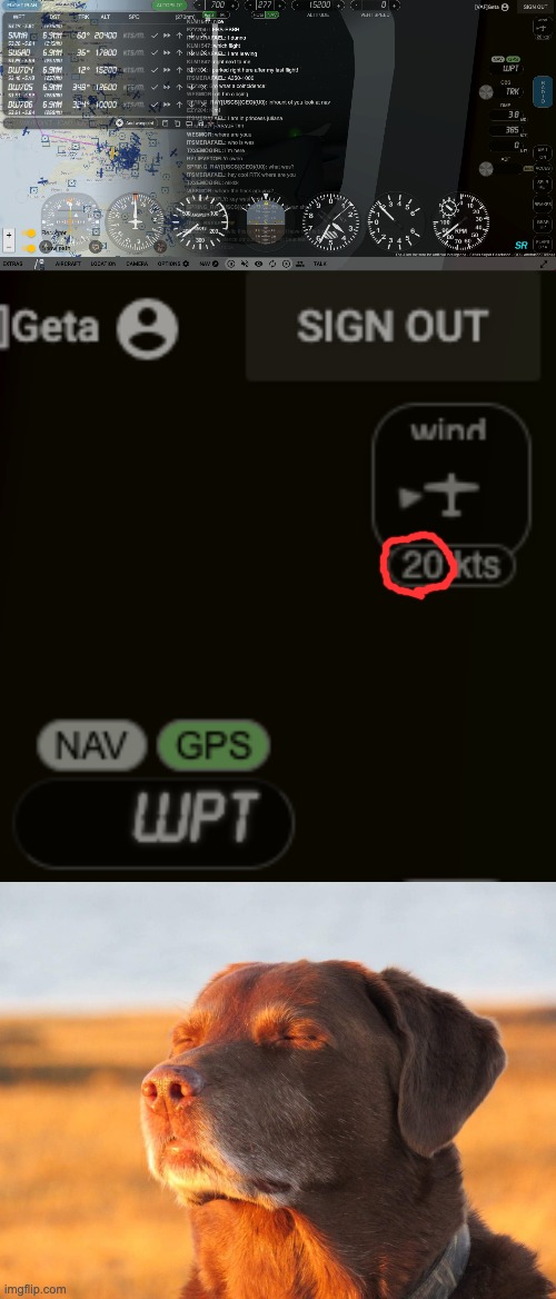 (real weather btw) i picked the wrong day to have a flight | image tagged in cooked dog | made w/ Imgflip meme maker