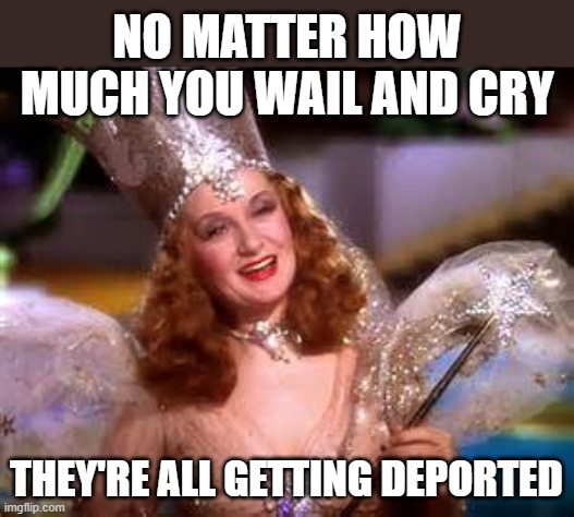 The sooner the better. They're bleeding the US dry. | NO MATTER HOW MUCH YOU WAIL AND CRY; THEY'RE ALL GETTING DEPORTED | image tagged in glenda witch | made w/ Imgflip meme maker