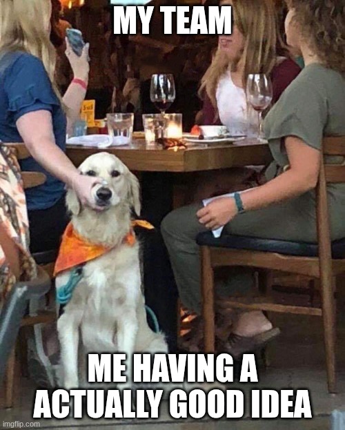 Lady holds Dogs mouth shut | MY TEAM; ME HAVING A ACTUALLY GOOD IDEA | image tagged in lady holds dogs mouth shut | made w/ Imgflip meme maker