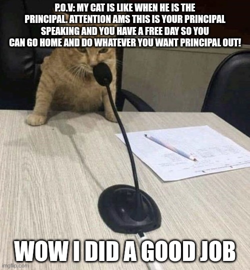 cat saying ‘would’ into microphone template | P.O.V: MY CAT IS LIKE WHEN HE IS THE PRINCIPAL. ATTENTION AMS THIS IS YOUR PRINCIPAL SPEAKING AND YOU HAVE A FREE DAY SO YOU CAN GO HOME AND DO WHATEVER YOU WANT PRINCIPAL OUT! WOW I DID A GOOD JOB | image tagged in cat saying would into microphone template | made w/ Imgflip meme maker