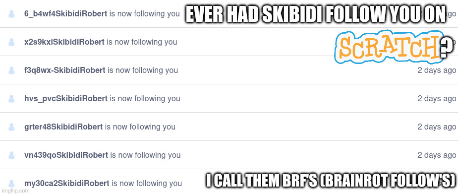 EVER HAD SKIBIDI FOLLOW YOU ON; ? I CALL THEM BRF'S (BRAINROT FOLLOW'S) | made w/ Imgflip meme maker