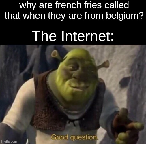now that you mention that... | why are french fries called that when they are from belgium? The Internet: | image tagged in shrek good question,fries,french fries,memes,shower thoughts,questions | made w/ Imgflip meme maker