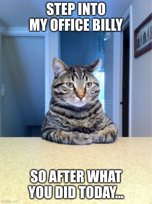 Take A Seat Cat Meme | STEP INTO MY OFFICE BILLY; SO AFTER WHAT YOU DID TODAY... | image tagged in memes,take a seat cat | made w/ Imgflip meme maker