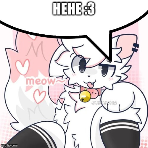 HEHE :3 | image tagged in femboy boykisser speech bubble | made w/ Imgflip meme maker