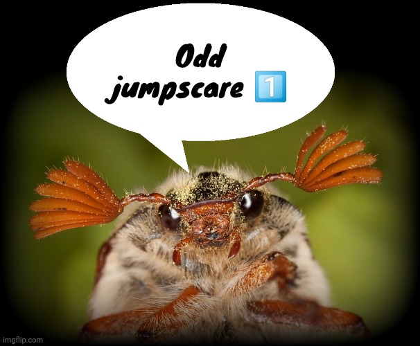 Doodlebug/odd announcement temp | Odd jumpscare 1️⃣ | image tagged in doodlebug/odd announcement temp | made w/ Imgflip meme maker