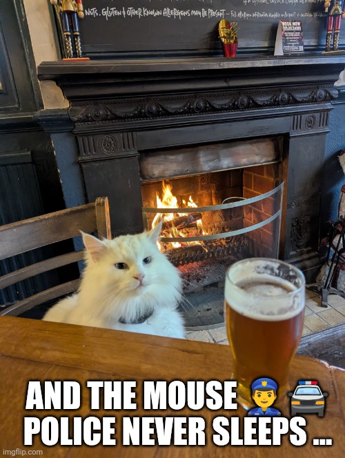 And the holiday season is finally here | AND THE MOUSE 👮‍♂️🚔 POLICE NEVER SLEEPS ... | image tagged in cat,beer,wood fire,fireplace,christmas | made w/ Imgflip meme maker