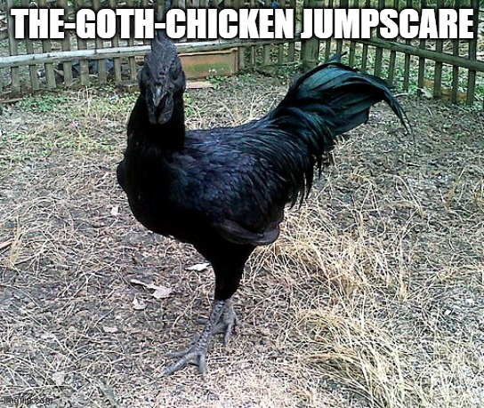 bok bok | THE-GOTH-CHICKEN JUMPSCARE | made w/ Imgflip meme maker