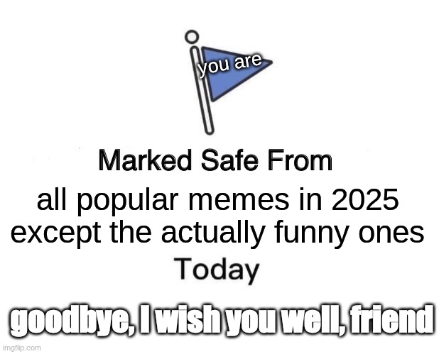 a blessing | you are; all popular memes in 2025 except the actually funny ones; goodbye, I wish you well, friend | image tagged in memes,marked safe from | made w/ Imgflip meme maker