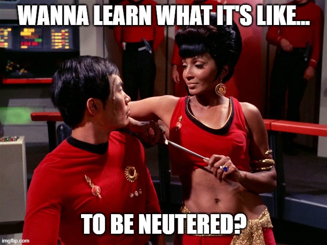Dirty Sulu | WANNA LEARN WHAT IT'S LIKE... TO BE NEUTERED? | image tagged in star trek alternate uhura | made w/ Imgflip meme maker