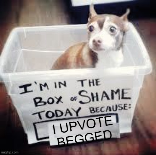 Shame Dog | I UPVOTE BEGGED | image tagged in shame dog | made w/ Imgflip meme maker