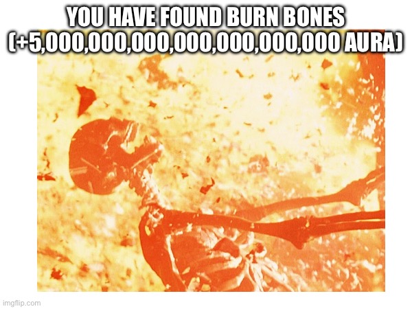 YOU HAVE FOUND BURN BONES (+5,000,000,000,000,000,000,000 AURA) | made w/ Imgflip meme maker