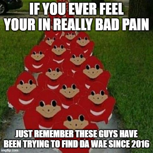 Ugandan knuckles army | IF YOU EVER FEEL YOUR IN REALLY BAD PAIN; JUST REMEMBER THESE GUYS HAVE BEEN TRYING TO FIND DA WAE SINCE 2016 | image tagged in ugandan knuckles army | made w/ Imgflip meme maker