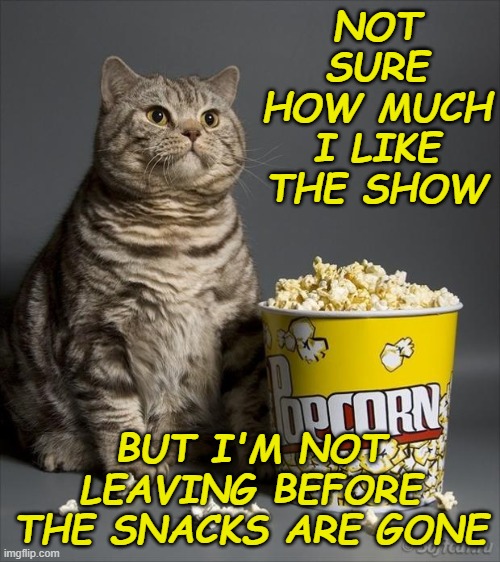 Cat eating popcorn | NOT SURE HOW MUCH I LIKE THE SHOW BUT I'M NOT LEAVING BEFORE THE SNACKS ARE GONE | image tagged in cat eating popcorn | made w/ Imgflip meme maker