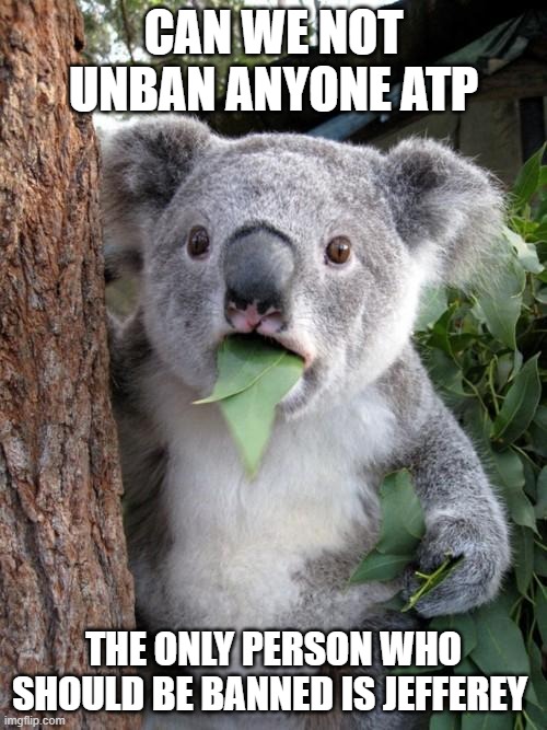 Simple as that | CAN WE NOT UNBAN ANYONE ATP; THE ONLY PERSON WHO SHOULD BE BANNED IS JEFFEREY | image tagged in memes,surprised koala | made w/ Imgflip meme maker