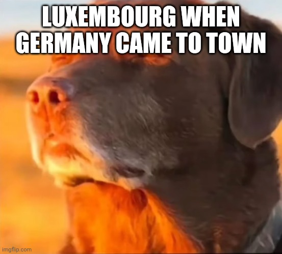 Im cooked | LUXEMBOURG WHEN GERMANY CAME TO TOWN | image tagged in im cooked | made w/ Imgflip meme maker