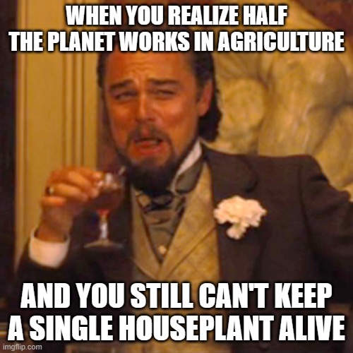 WHEN YOU REALIZE HALF THE PLANET WORKS IN AGRICULTURE | WHEN YOU REALIZE HALF THE PLANET WORKS IN AGRICULTURE; AND YOU STILL CAN'T KEEP A SINGLE HOUSEPLANT ALIVE | image tagged in memes,laughing leo,farming,food memes,plants,planet earth | made w/ Imgflip meme maker