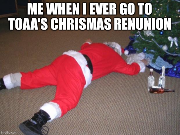 And i also fuck everyone there | ME WHEN I EVER GO TO TOAA'S CHRISMAS RENUNION | image tagged in go home santa you're drunk | made w/ Imgflip meme maker