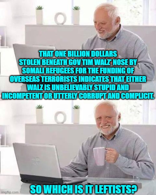 It's one or the other leftists . . . decide. | THAT ONE BILLION DOLLARS STOLEN BENEATH GOV TIM WALZ' NOSE BY SOMALI REFUGEES FOR THE FUNDING OF OVERSEAS TERRORISTS INDICATES THAT EITHER WALZ IS UNBELIEVABLY STUPID AND INCOMPETENT OR UTTERLY CORRUPT AND COMPLICIT. SO WHICH IS IT LEFTISTS? | image tagged in hide the pain harold | made w/ Imgflip meme maker