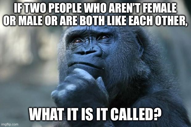 There’s gay, lesbian, and now unknown | IF TWO PEOPLE WHO AREN’T FEMALE OR MALE OR ARE BOTH LIKE EACH OTHER, WHAT IT IS IT CALLED? | image tagged in deep thoughts | made w/ Imgflip meme maker