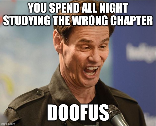 DOOFUS | YOU SPEND ALL NIGHT STUDYING THE WRONG CHAPTER DOOFUS | image tagged in doofus | made w/ Imgflip meme maker