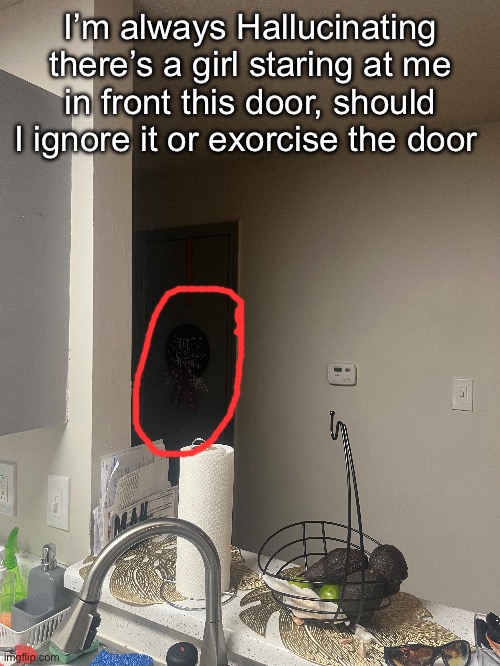 I’m always Hallucinating there’s a girl staring at me in front this door, should I ignore it or exorcise the door | made w/ Imgflip meme maker
