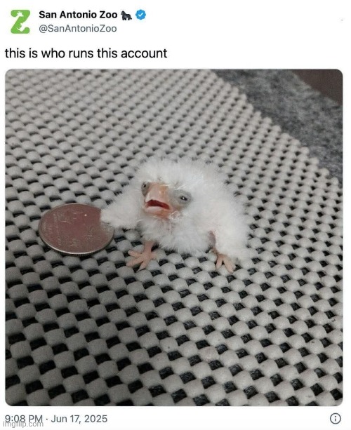 Fredrick | made w/ Imgflip meme maker