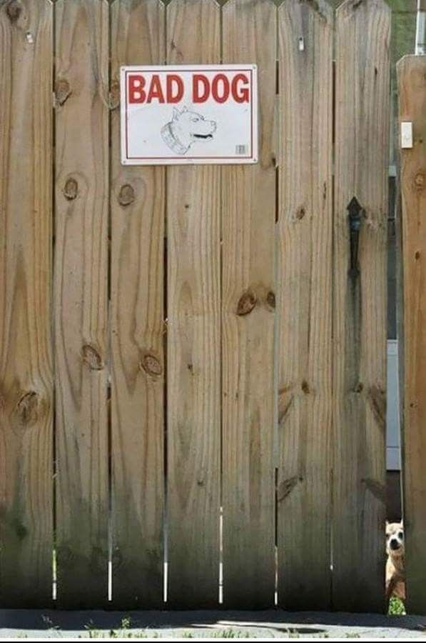 Chrisjoines1 Blank Meme Template