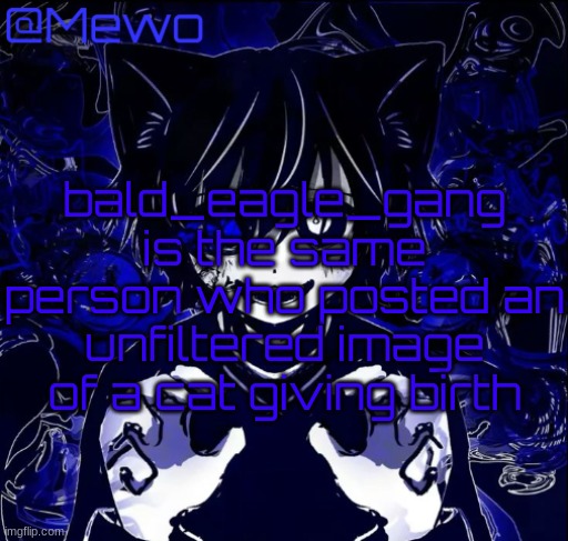 i wouldn't be surprised if he ended up being a zoophile | bald_eagle_gang is the same person who posted an unfiltered image of a cat giving birth | image tagged in magic 8 ball | made w/ Imgflip meme maker