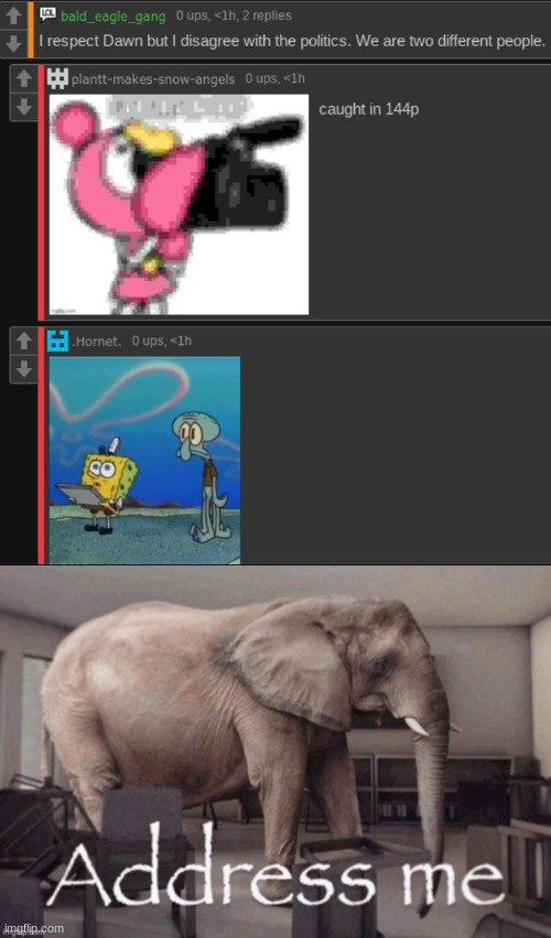 you are not escaping the zoophile allegations blud. | image tagged in address me | made w/ Imgflip meme maker