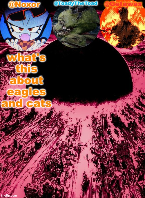 Noxor Toady and Geta's temp | what's this about eagles and cats | image tagged in noxor toady and geta's temp | made w/ Imgflip meme maker