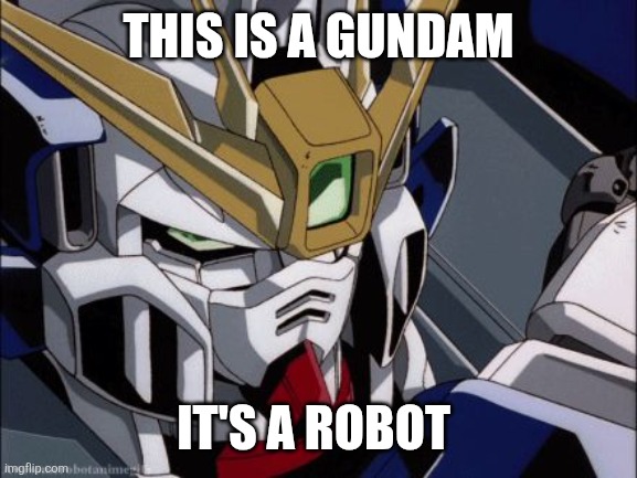 Gundam wing | THIS IS A GUNDAM IT'S A ROBOT | image tagged in gundam wing | made w/ Imgflip meme maker