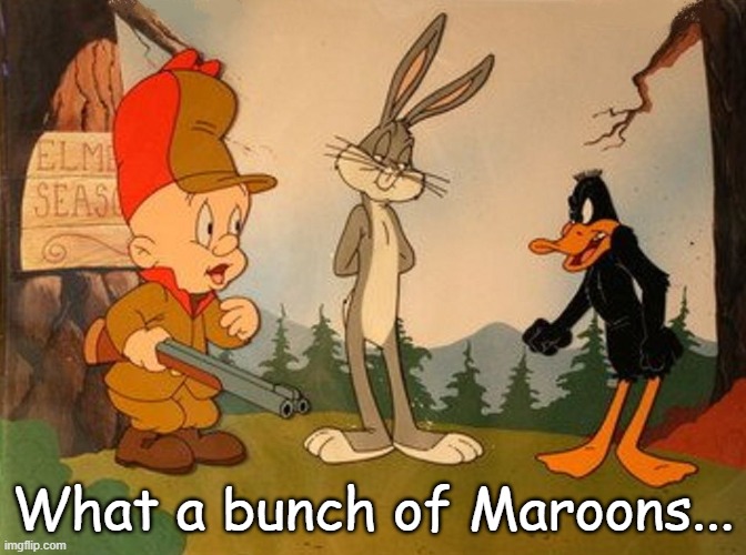 Bunch of Maroons | What a bunch of Maroons... | made w/ Imgflip meme maker