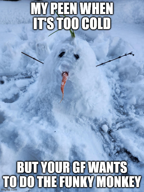 Sad Snowman Meme | MY PEEN WHEN IT'S TOO COLD; BUT YOUR GF WANTS TO DO THE FUNKY MONKEY | image tagged in sad,snowman | made w/ Imgflip meme maker