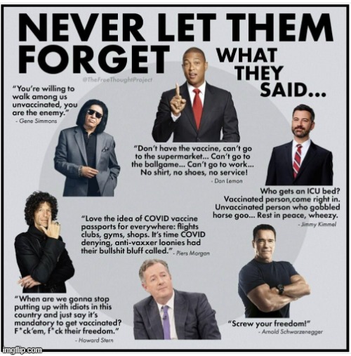 Those Begging for Covid Amnesty | image tagged in covid,amnesty | made w/ Imgflip meme maker