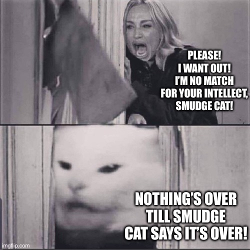woman yells are shining | PLEASE! I WANT OUT! I’M NO MATCH FOR YOUR INTELLECT, SMUDGE CAT! NOTHING’S OVER TILL SMUDGE CAT SAYS IT’S OVER! | image tagged in woman yells are shining | made w/ Imgflip meme maker