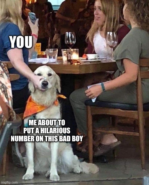 I don’t even need to mention any particular number | YOU; ME ABOUT TO PUT A HILARIOUS NUMBER ON THIS BAD BOY | image tagged in lady holds dogs mouth shut | made w/ Imgflip meme maker