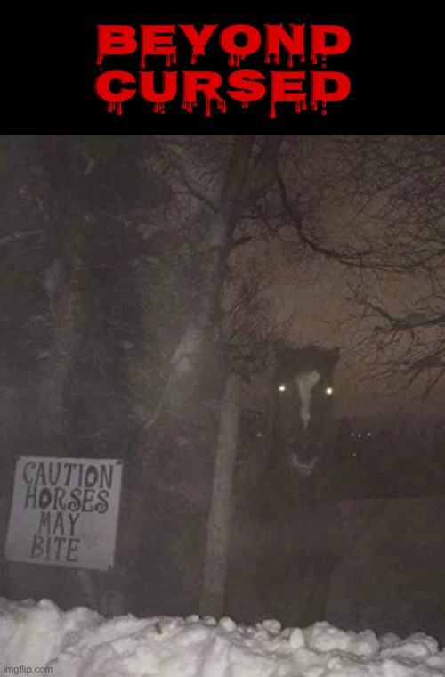 Cursed Horse | BEYOND CURSED | image tagged in horses,cursed images,creepy,what a terrible day to have eyes,time to die,excuse me wtf | made w/ Imgflip meme maker
