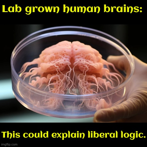 Lab Grown Brains | Lab grown human brains:; This could explain liberal logic. | image tagged in brains,eugenics,liberal logic,robots,brainwashed,cyborg | made w/ Imgflip meme maker