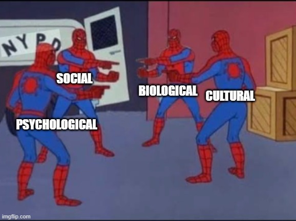 Gen Psyc | SOCIAL; CULTURAL; BIOLOGICAL; PSYCHOLOGICAL | image tagged in spiderman,psychology | made w/ Imgflip meme maker