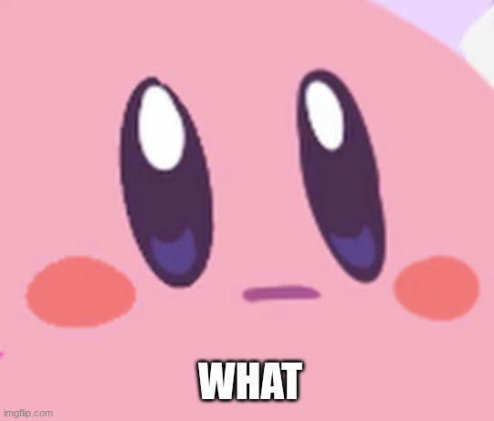 Blank Kirby Face | WHAT | image tagged in blank kirby face | made w/ Imgflip meme maker