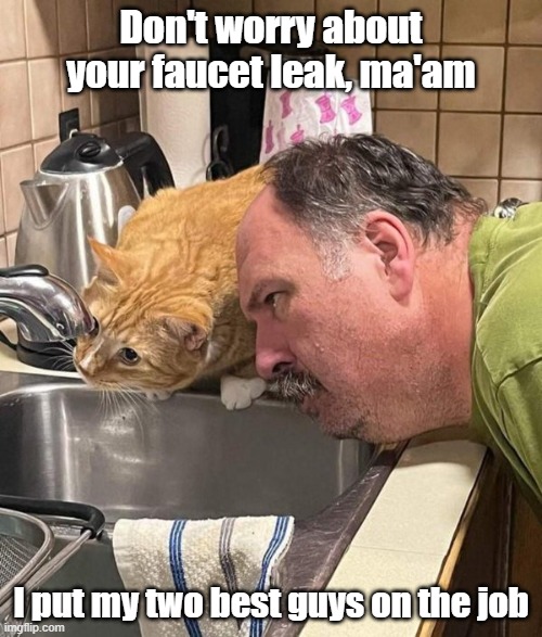 Plumbing Hero | Don't worry about your faucet leak, ma'am; I put my two best guys on the job | image tagged in leak,plumber,the best,duh | made w/ Imgflip meme maker
