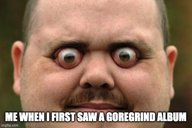 The album covers are so cooked | ME WHEN I FIRST SAW A GOREGRIND ALBUM | image tagged in bulging eyes,memes,funny,metal | made w/ Imgflip meme maker