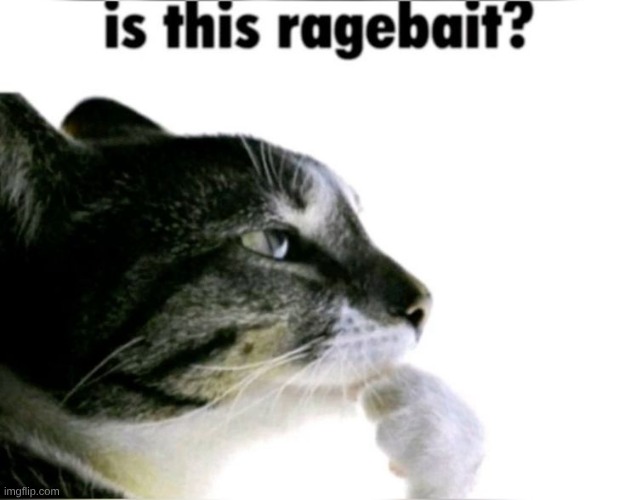 Is this ragebait? | image tagged in is this ragebait | made w/ Imgflip meme maker