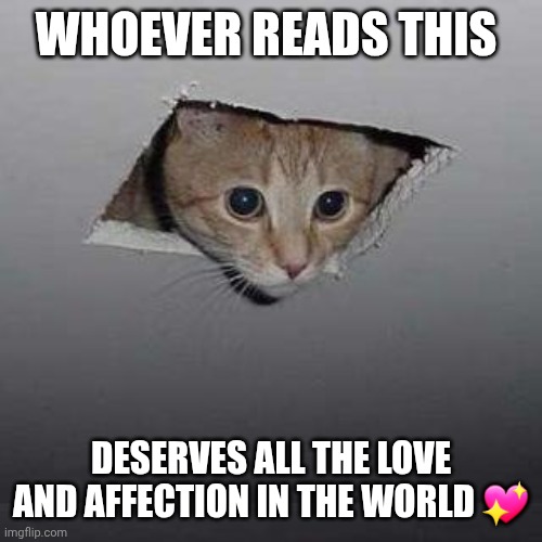 Ceiling Cat Meme | WHOEVER READS THIS; DESERVES ALL THE LOVE AND AFFECTION IN THE WORLD 💖 | image tagged in memes,ceiling cat,positivity,kindness | made w/ Imgflip meme maker