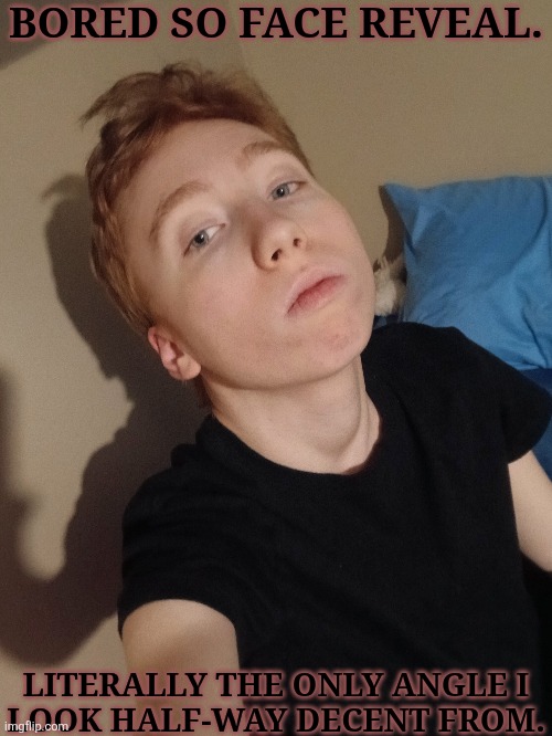 Ignore The Fuckass Shadow | BORED SO FACE REVEAL. LITERALLY THE ONLY ANGLE I
LOOK HALF-WAY DECENT FROM. | image tagged in if you were to guess my gender,if you didnt know me,what would you guess,just curious,face reveal | made w/ Imgflip meme maker