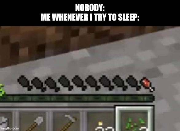 Empty Hunger Bar Minecraft | NOBODY:
ME WHENEVER I TRY TO SLEEP: | image tagged in empty hunger bar minecraft,relatable memes,sleep,trying to sleep | made w/ Imgflip meme maker