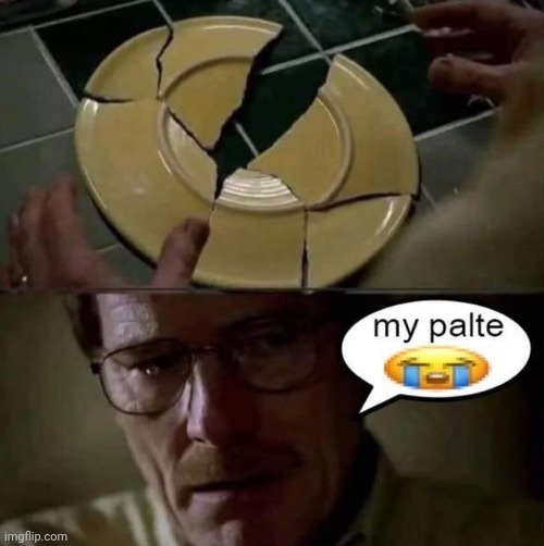 . | image tagged in my palte | made w/ Imgflip meme maker
