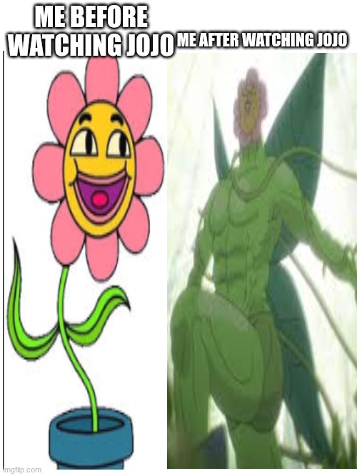 ME AFTER WATCHING JOJO; ME BEFORE WATCHING JOJO | made w/ Imgflip meme maker